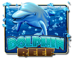 dolphin reef slot game