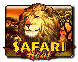 safari heat slot game
