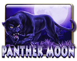 panther moon slot game