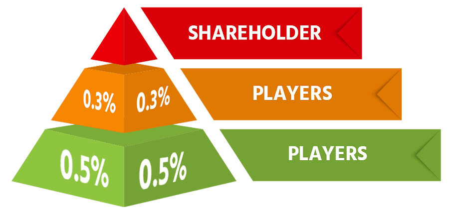 Piramid tahap pemain shareholder