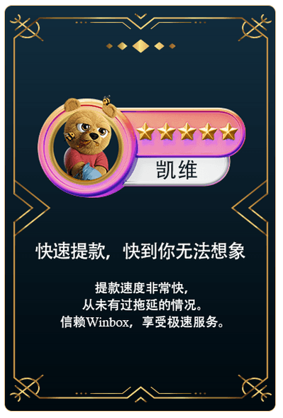 Winbox VIP customer feedback 4
